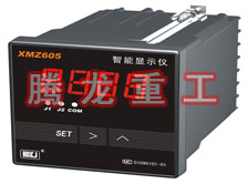 溫度表、數(shù)字顯示儀、濕度表