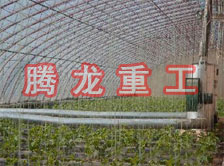 大棚花卉供暖設(shè)備、大棚卉采暖設(shè)備、大棚花卉取暖設(shè)備