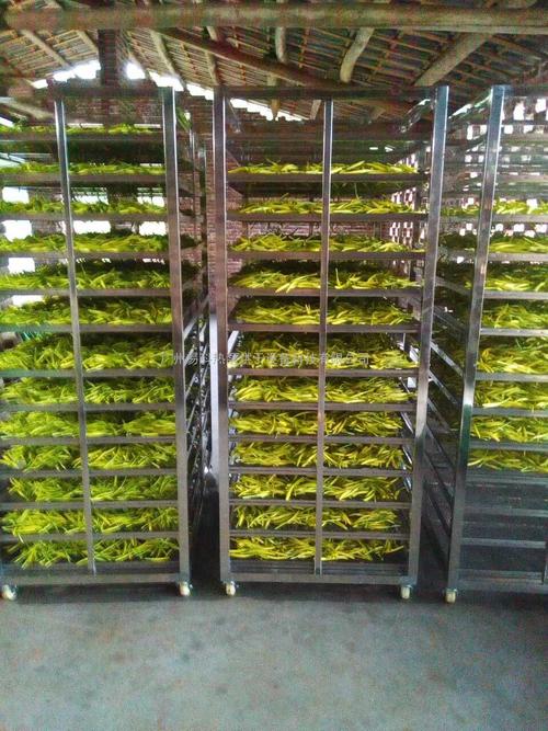 黃花菜烘干機、黃花菜烘干設備、黃花菜干燥機、黃花菜干燥設備、